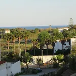 Vista *