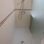 Vista *